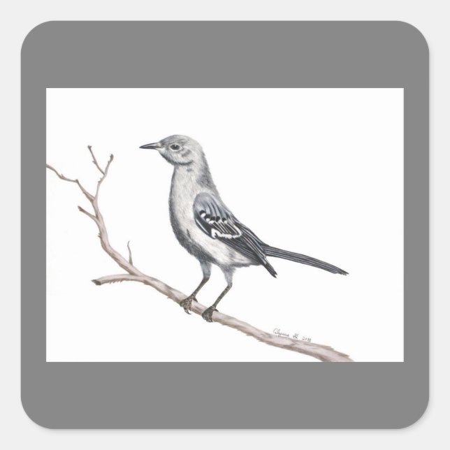 Cuadrada Pegatina de Texas Mockingbird (Anverso)