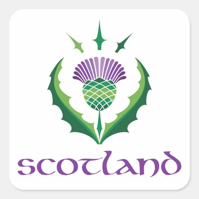 Cuadrada Pegatina de Thistle de Escocia (Anverso)