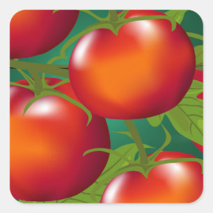 Cuadrada Pegatina de tomates
