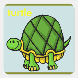 Cuadrada pegatina de tortuga
