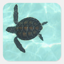 Cuadrada Pegatina de tortuga marina
