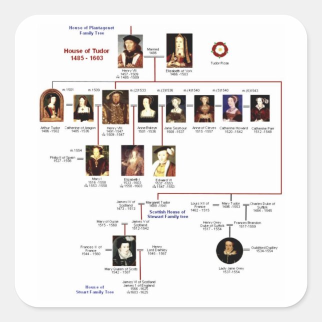 Cuadrada Pegatina de Tudores (Anverso)