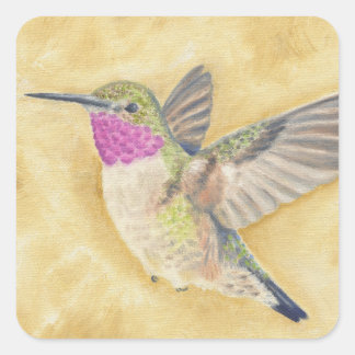 Cuadrada Pegatina de vuelo de Hummingbird