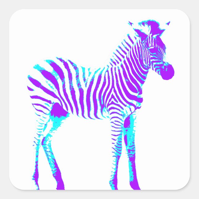 Cuadrada Pegatina de Zebra Square (Anverso)