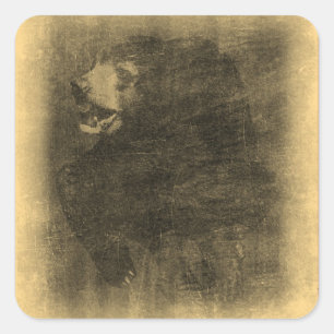 Cuadrada Pegatina del arte del vintage del oso negro