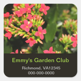Cuadrada Pegatina del club de jardín, flores de jardín roja