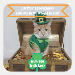 Cuadrada Pegatina del Día de San Patricio con humor de gato