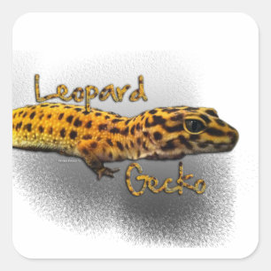 Cuadrada Pegatina del Gecko del leopardo