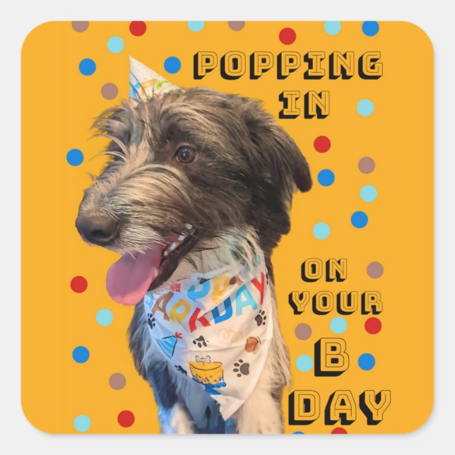 Cuadrada Pegatina Del Pop De Cumpleaños En Cachorros (Anverso)