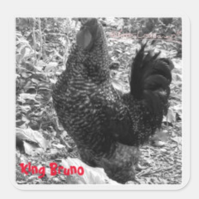 Cuadrada Pegatina del Rey Bruno (Anverso)