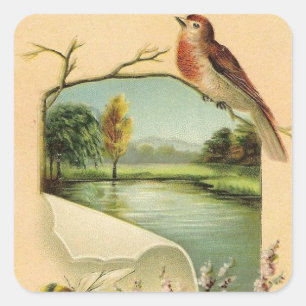 Cuadrada Pegatina divertida de pájaro vintage