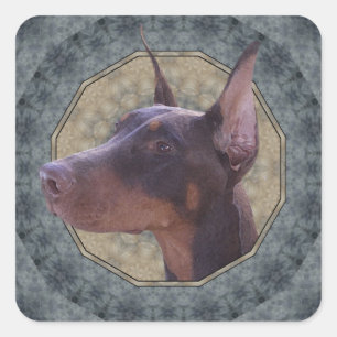 Cuadrada Pegatina Doberman Classic