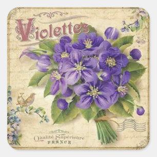Cuadrada Pegatina elegante de violetas florales de época
