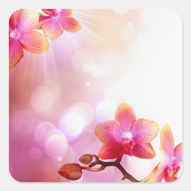 Cuadrada pegatina floral (Anverso)