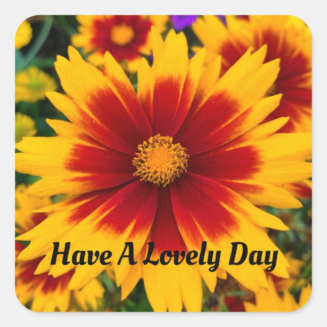 Cuadrada Pegatina floral de verano (Anverso)