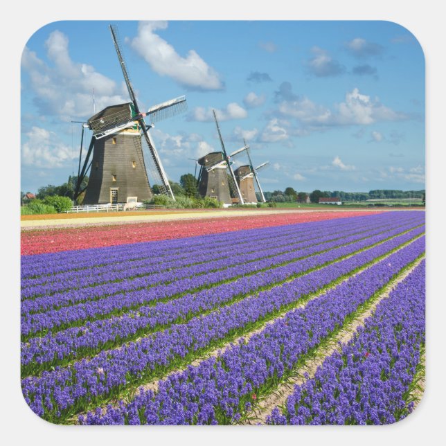 Cuadrada Pegatina fotográfico de flores y molinos de viento (Anverso)