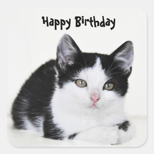 Cuadrada Pegatina gatito blanco negro (Anverso)
