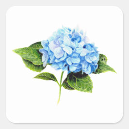 Cuadrada Pegatina Hidrangea Azul