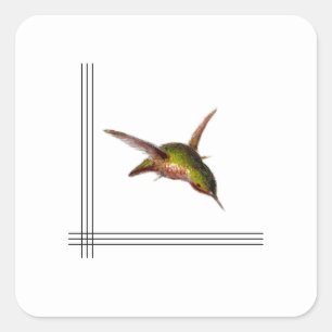 Cuadrada Pegatina Hummingbird