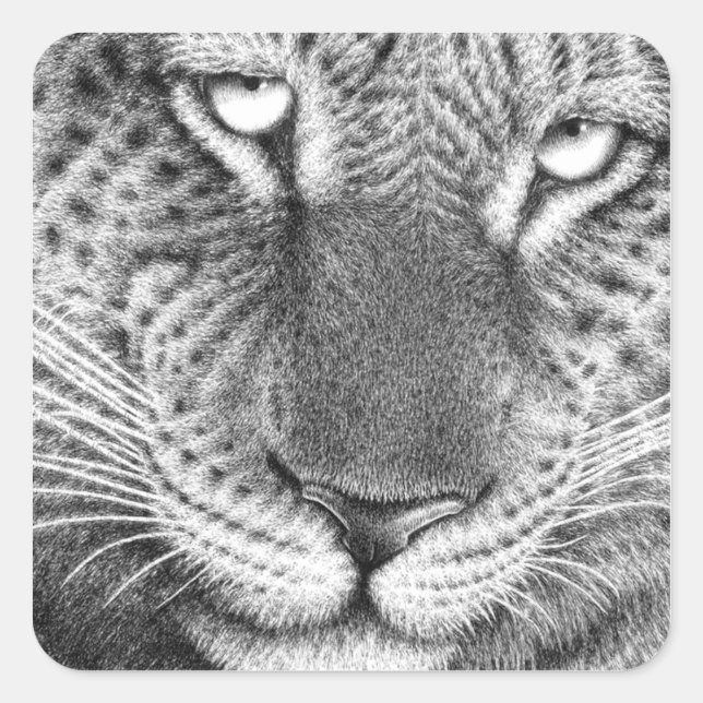 Cuadrada Pegatina Leopard (Anverso)