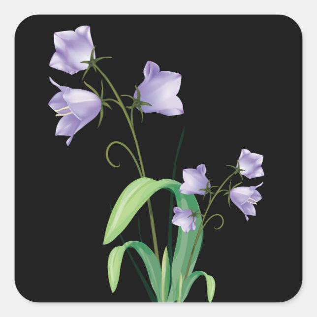 Cuadrada Pegatina morado de flores negras/sello (Anverso)