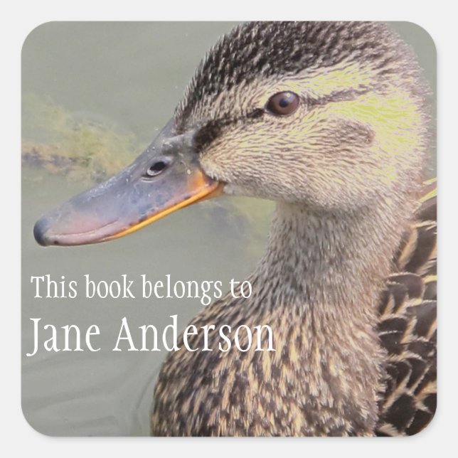 Cuadrada Pegatina personalizado de la placa de la matrícula (Anverso)