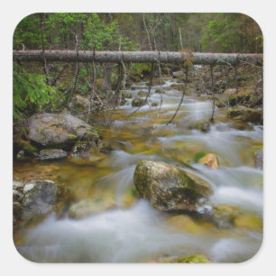 Cuadrada Pegatina rocoso de la cala del bosque