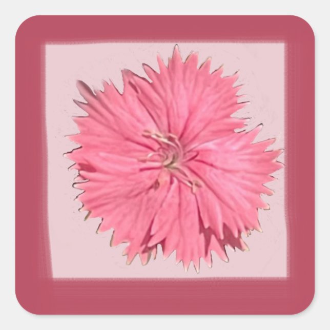 Cuadrada Pegatina rosado de China (Anverso)