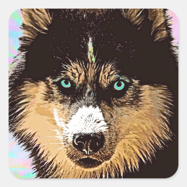 Cuadrada Pegatina Siberian Husky Square (Anverso)
