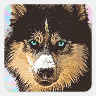 Cuadrada Pegatina Siberian Husky Square