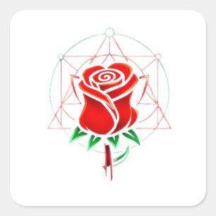 Cuadrada Pegatina Transparente de Rosa Rechazada