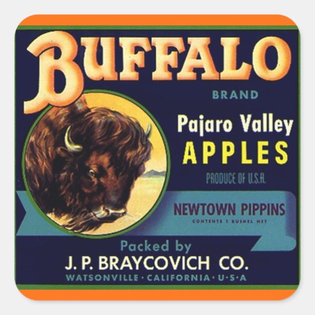 Cuadrada Pegatina Vintage Buffalo Las manzanas producen fru (Anverso)