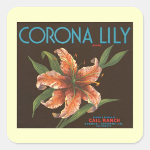 Cuadrada Pegatina Vintage Corona Lily