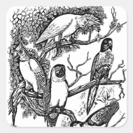 Cuadrada Pegatina vintage de aves tropicales blancas negras