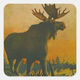 Cuadrada Pegatina Wildlife Bull Moose @ Twilight Sundown