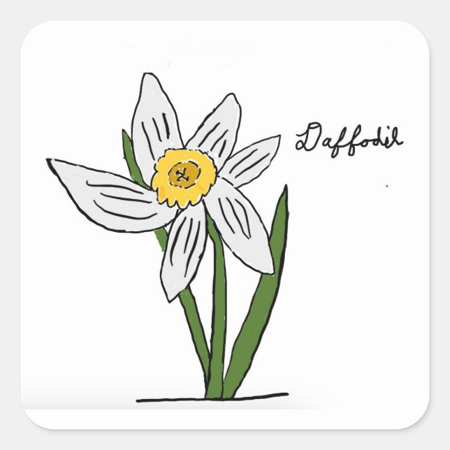 Cuadrada Plaza Pegatina Daffodil (Anverso)