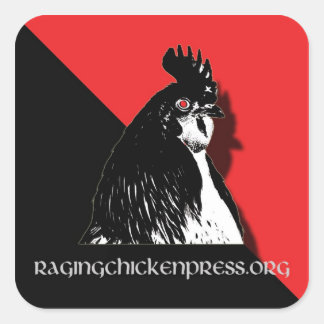 Cuadrada Prensa de pollo Enfurecida Pegatina rojo y negro