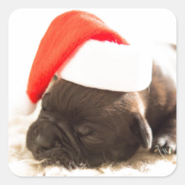 Cuadrada PUPPY CON PEGATINA Santa hat