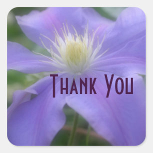 Cuadrada Purple Clematis Flower Gracias Pegatina