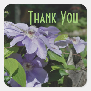 Cuadrada Purple Clematis Flowers Gracias Pegatina
