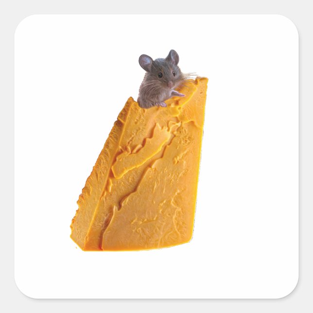CUADRADA RATÓN Y QUESO EN PEGATINA (Anverso)