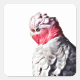 Cuadrada Rosa de arte loro Pegatina Cockatoo