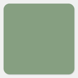 Cuadrada Sage Green Square Pegatina