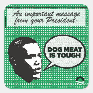 Cuadrada Serie de la dirección de Obama - el pegatina duro