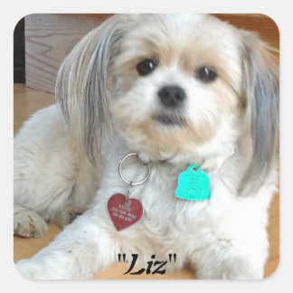 Cuadrada Shih Tzu nombrado Pegatina de Liz