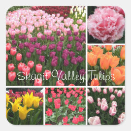 Cuadrada Skagit Valley, tulipanes WA pegatina collage