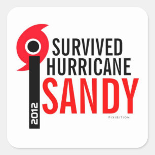 Cuadrada Sobreviví al pegatina 4 de Sandy del huracán