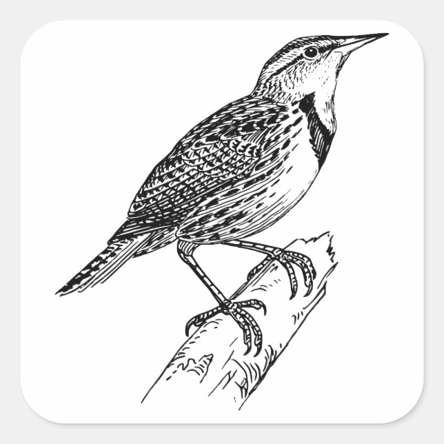 Cuadrada Sparrow-Great Sparrow Clothing/Sparrow Pegatina (Anverso)