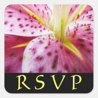 Stargazer Lily Pink Floral RSVP Pegatina