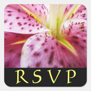 Cuadrada Stargazer Lily Pink Floral RSVP Pegatina